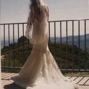 Paloma Blanca Bridal Gown & veil